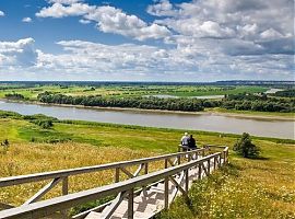саженец дерева в подарок. Смотреть фото саженец дерева в подарок. Смотреть картинку саженец дерева в подарок. Картинка про саженец дерева в подарок. Фото саженец дерева в подарок